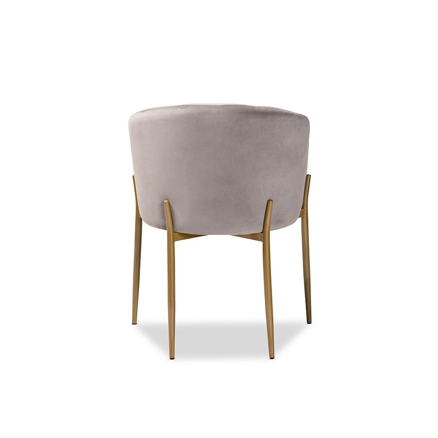 Baxton Studio Ballard Modern Luxe and Glam Grey Velvet Fabric Upholstered and Gold Finished Metal Dining Chair