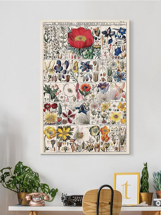 Floral Chart Wall Art -Vision Studio Designs