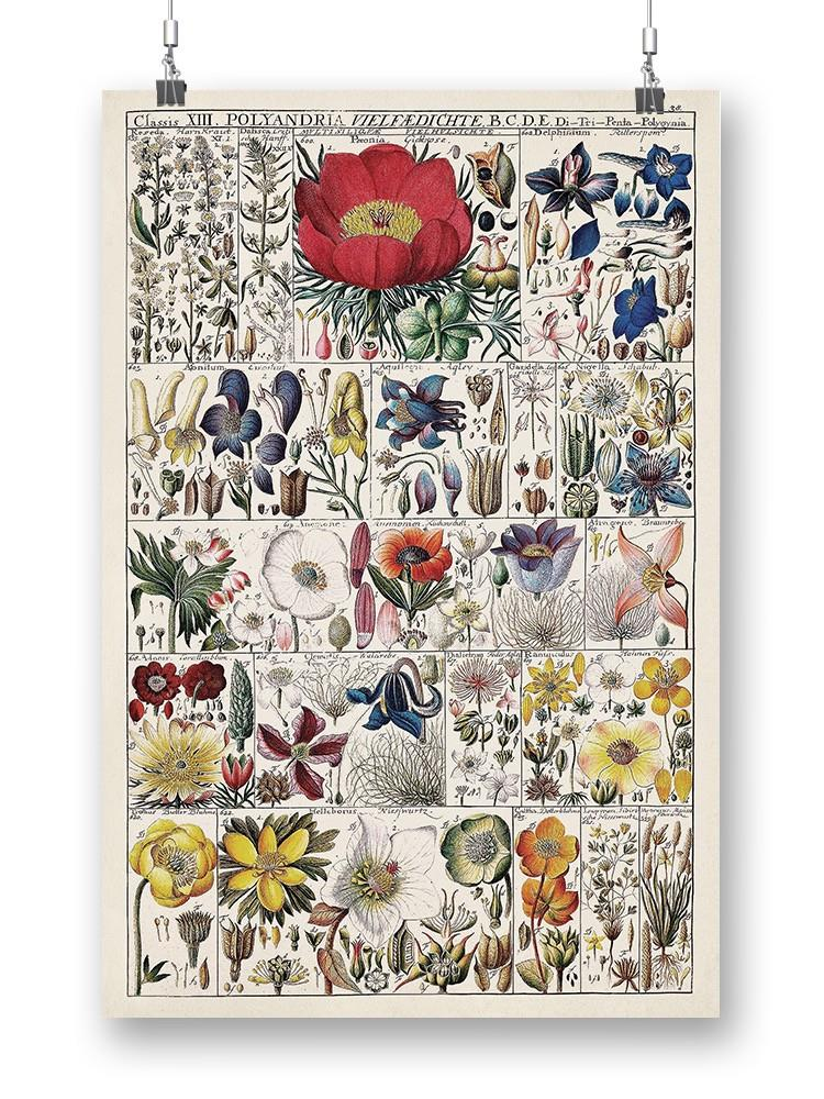 Floral Chart Wall Art -Vision Studio Designs