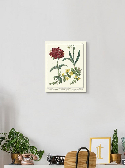 Spring Delight Wall Art -Sydenham Edwards Designs