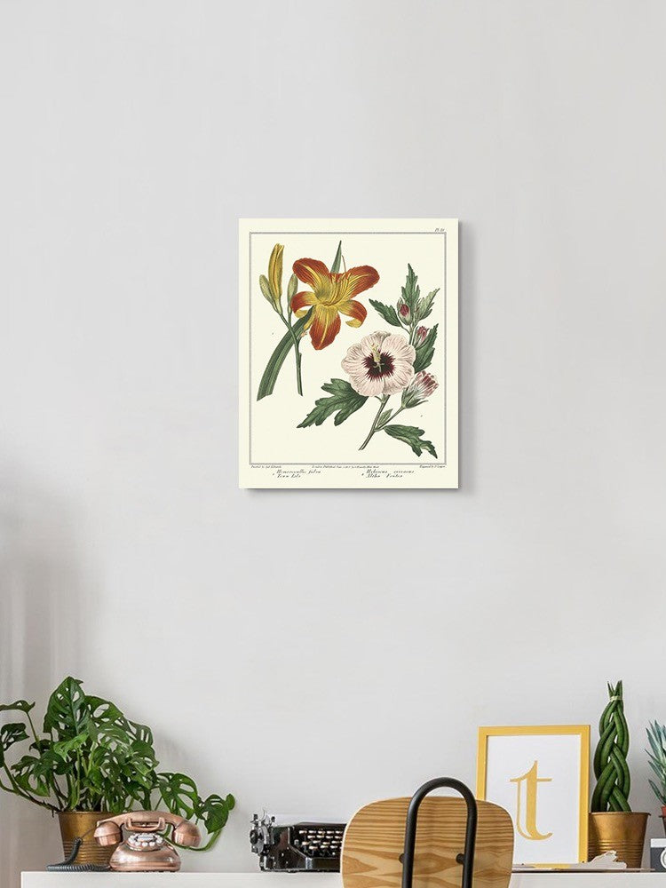 Garden Flowers Delight Wall Art -Sydenham Edwards Designs