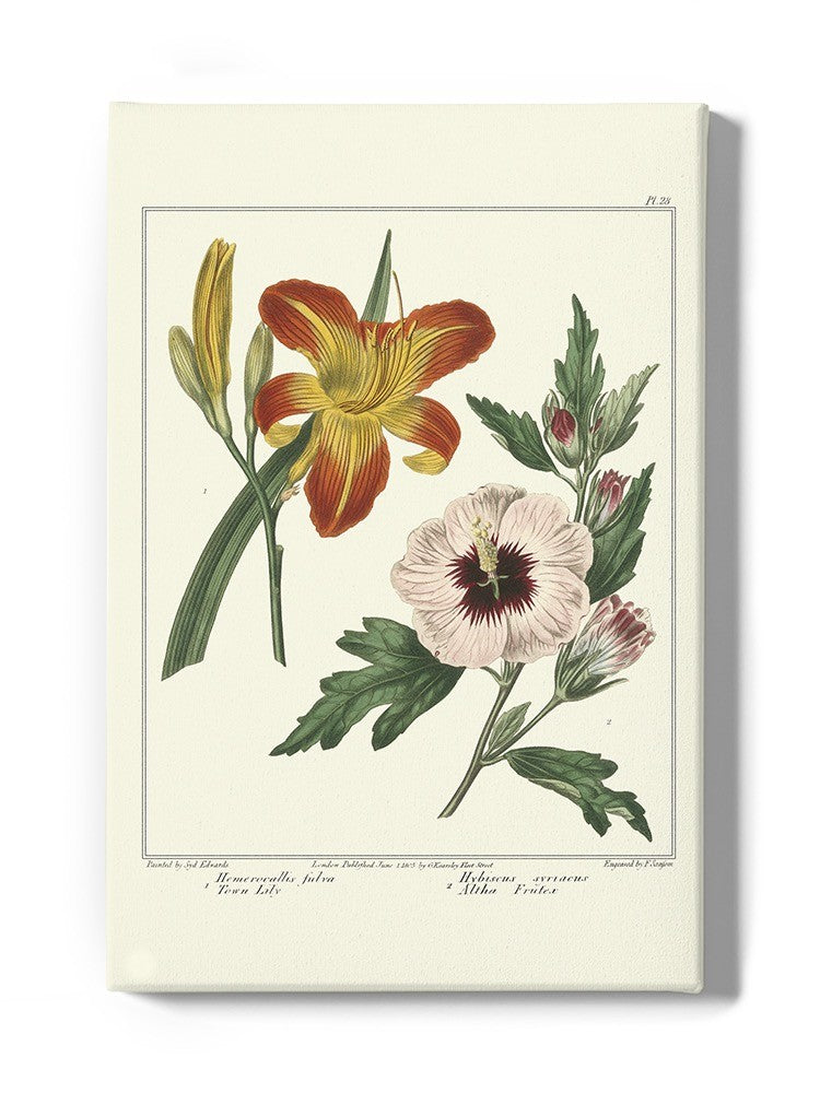 Garden Flowers Delight Wall Art -Sydenham Edwards Designs