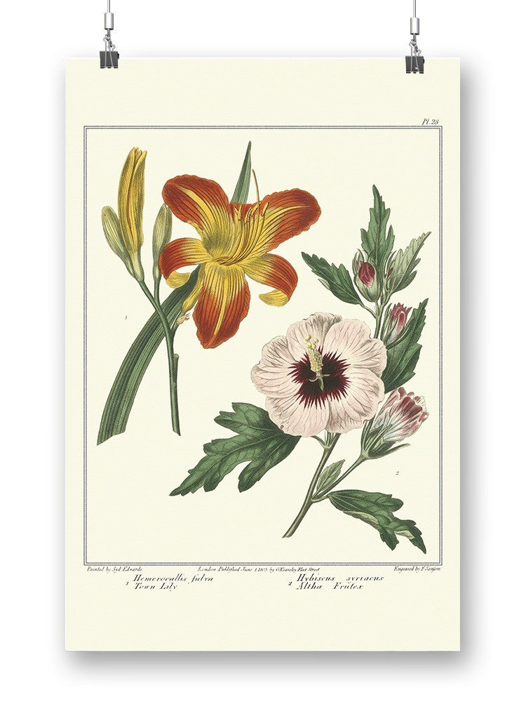 Garden Flowers Delight Wall Art -Sydenham Edwards Designs