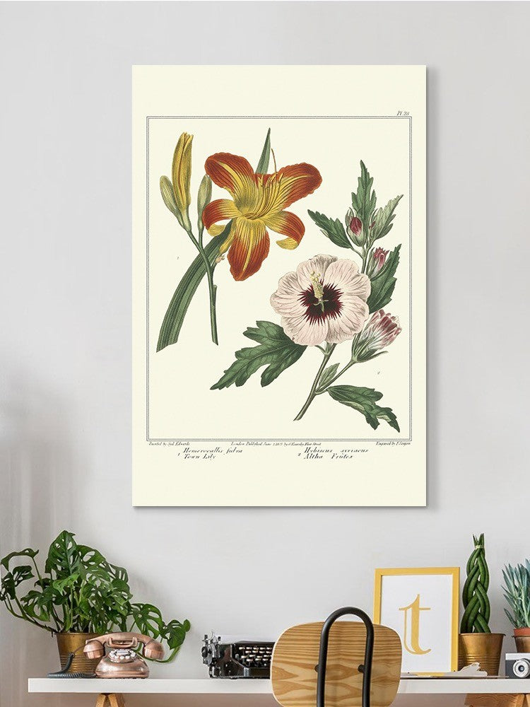 Garden Flowers Delight Wall Art -Sydenham Edwards Designs