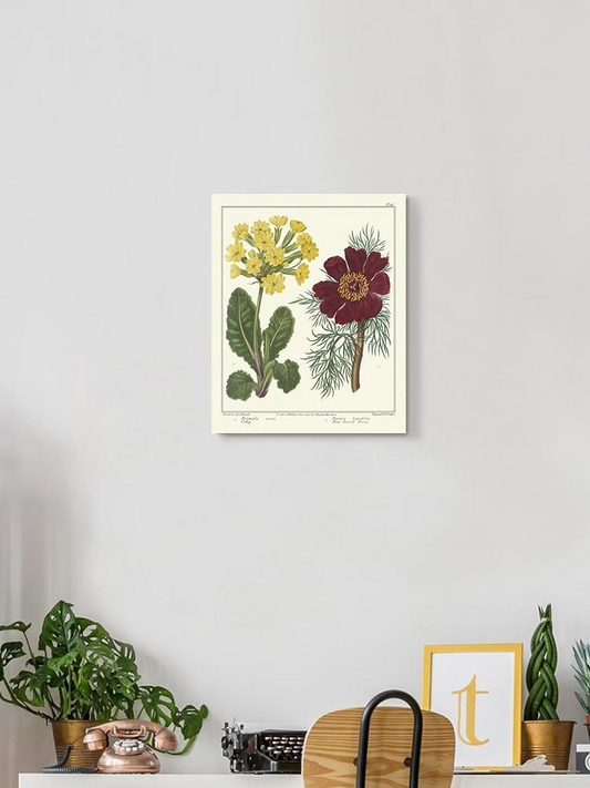 Gardeners Delight Wall Art -Sydenham Edwards Designs