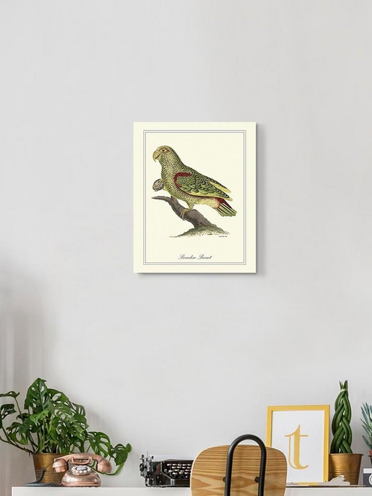 Paradise Parrot Wall Art -Sydenham Edwards Designs