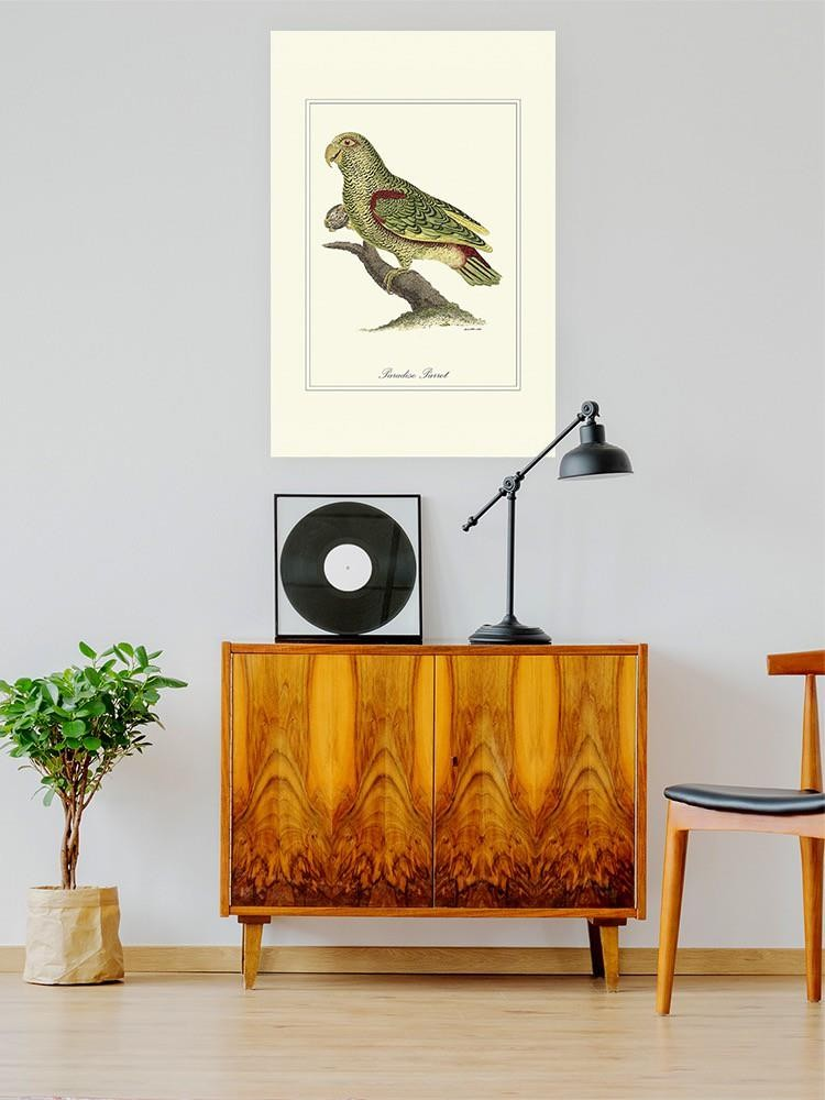 Paradise Parrot Wall Art -Sydenham Edwards Designs