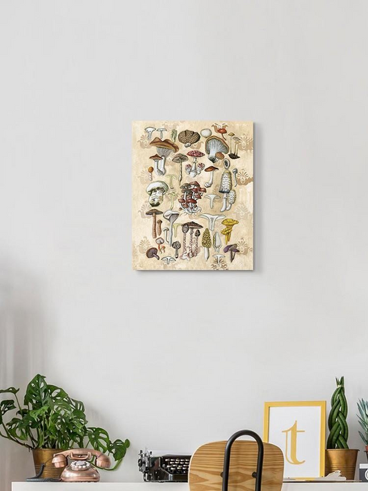 Mycological Study Wall Art -Naomi McCavitt Designs