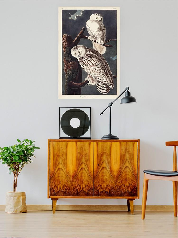 Snowy Owl Iii Wall Art -John James Audubon Designs