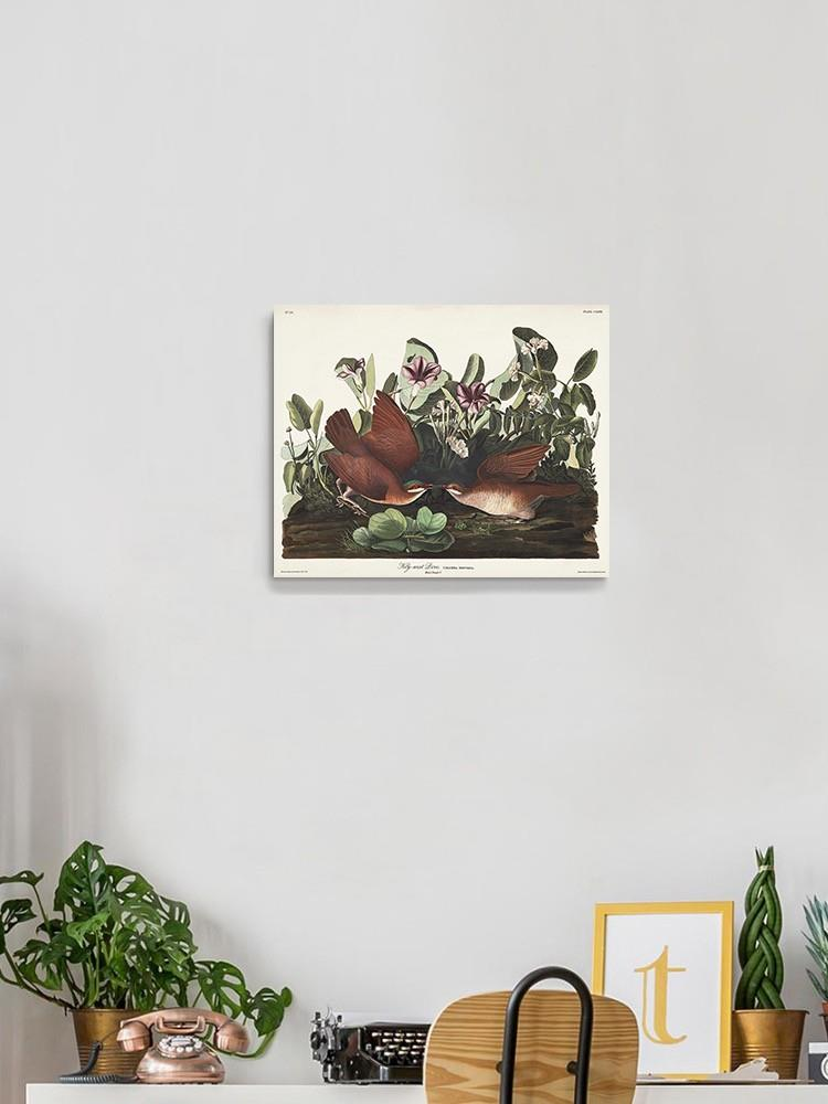 Key West Pigeon Iii Wall Art -John James Audubon Designs