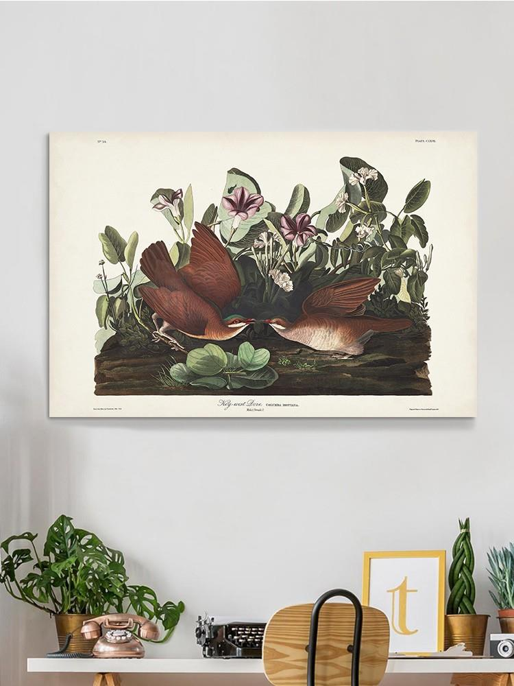 Key West Pigeon Iii Wall Art -John James Audubon Designs