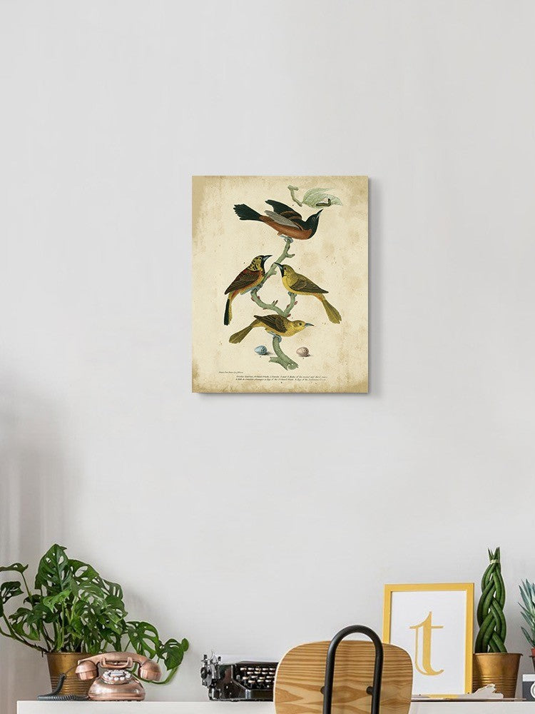 Orchard And Birds Wall Art -Alexander Wilson Designs