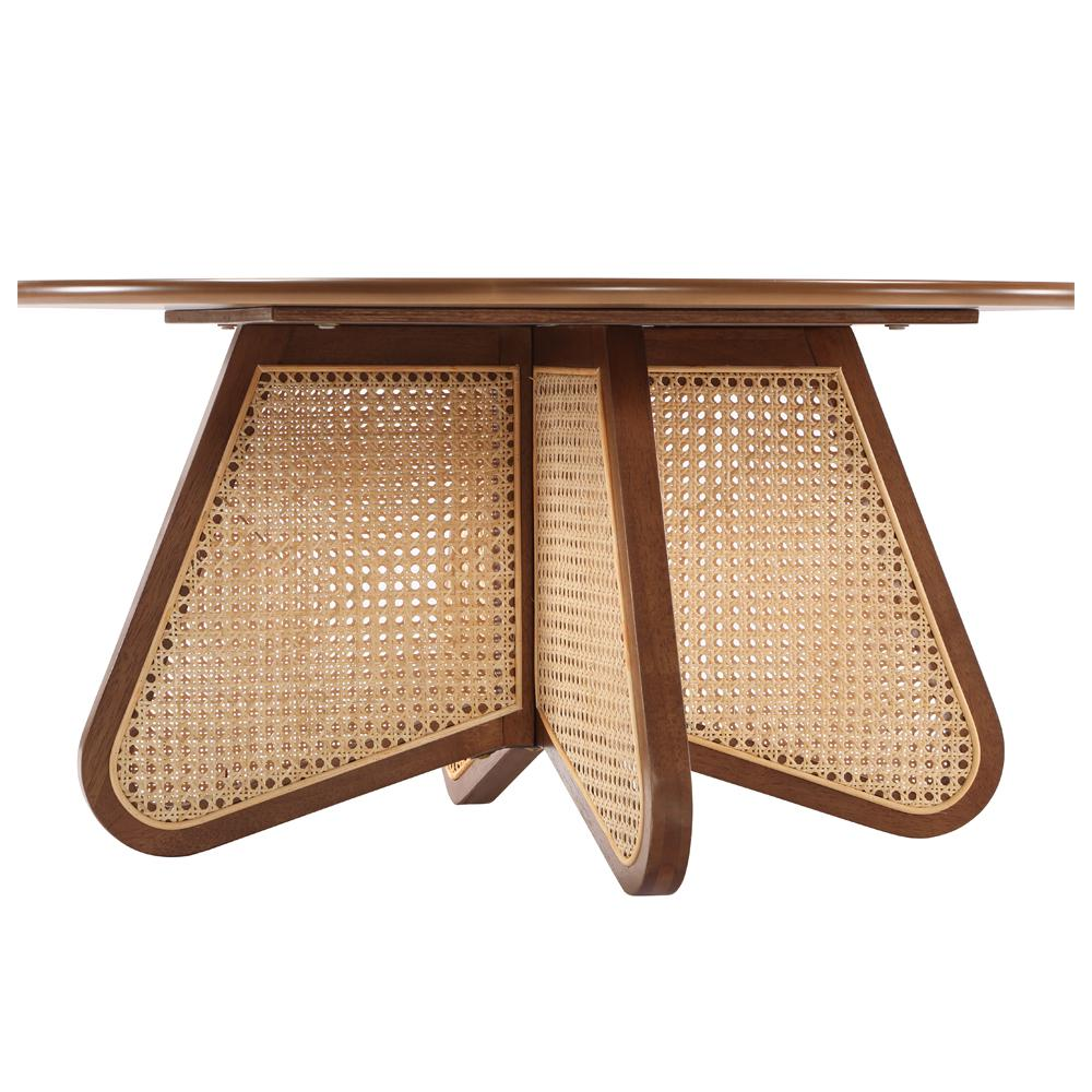 Taiwo Walnut Rattan Coffee Table