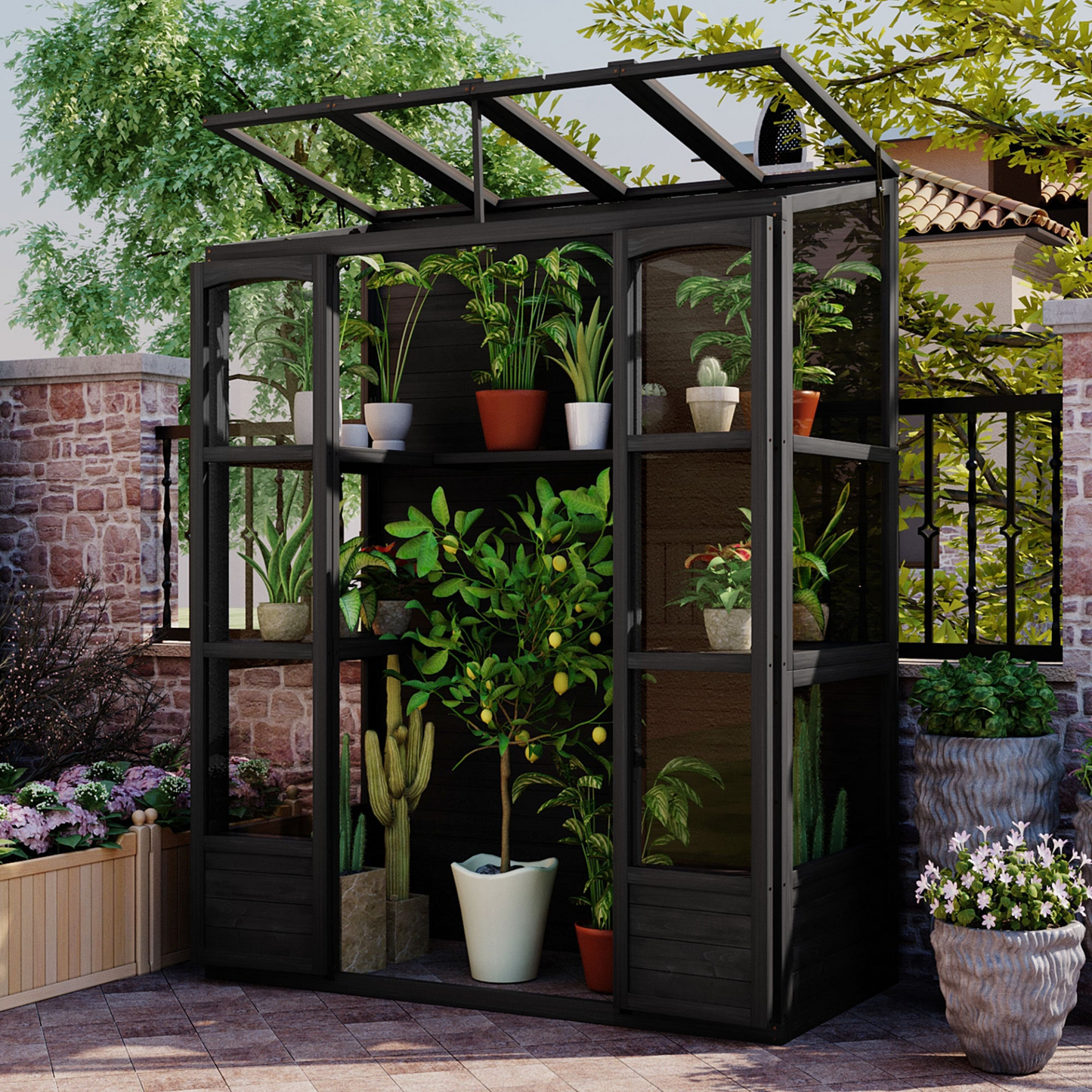 78-inch Wooden Greenhouse Cold Frame with 4 Independent Skylights and 2 Folding Middle Shelves, Walk-in Outdoor Greenhouse, Black