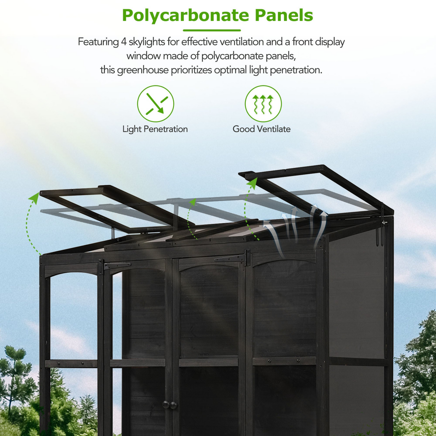 78-inch Wooden Greenhouse Cold Frame with 4 Independent Skylights and 2 Folding Middle Shelves, Walk-in Outdoor Greenhouse, Black