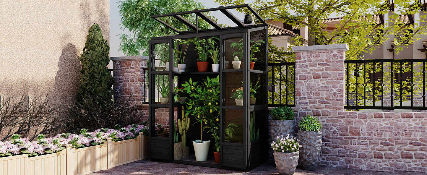 78-inch Wooden Greenhouse Cold Frame with 4 Independent Skylights and 2 Folding Middle Shelves, Walk-in Outdoor Greenhouse, Black